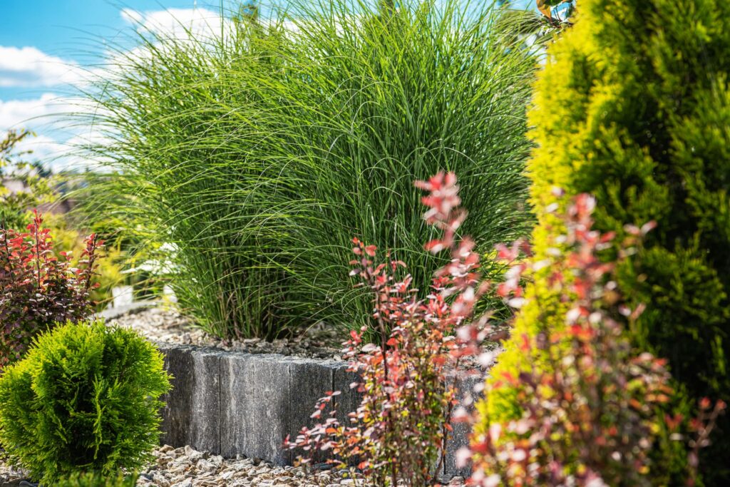 Creating Your Ideal Custom Outdoor Living Space in Acworth 2