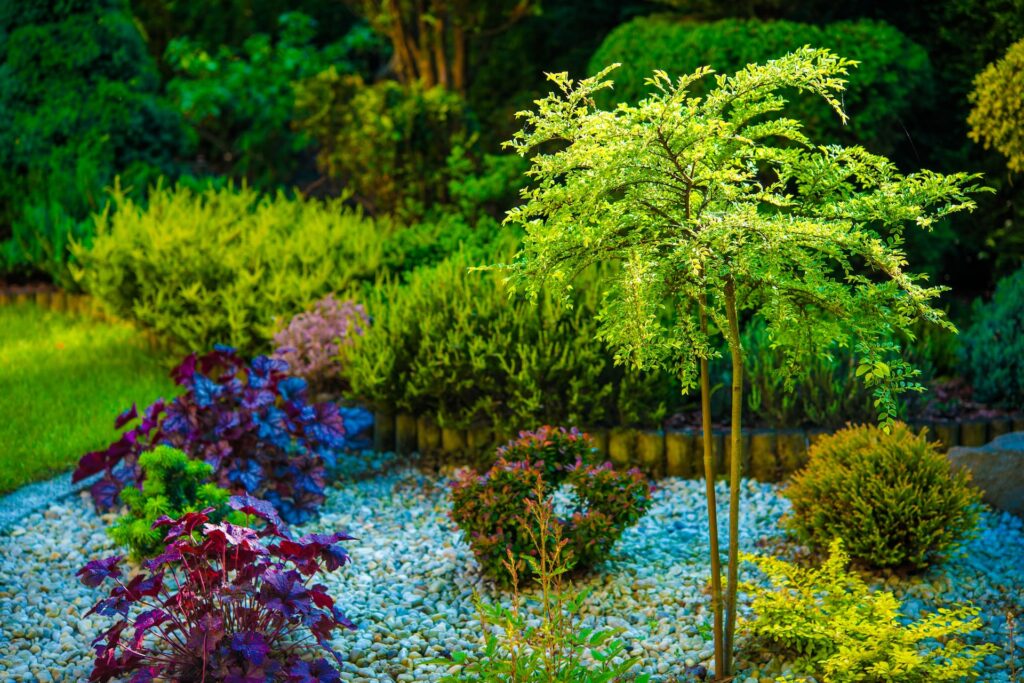 Creating Your Ideal Custom Outdoor Living Space in Acworth 4